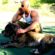 ヴィン・ディーゼル(Vin Diesel)とピットブルpitbull犬